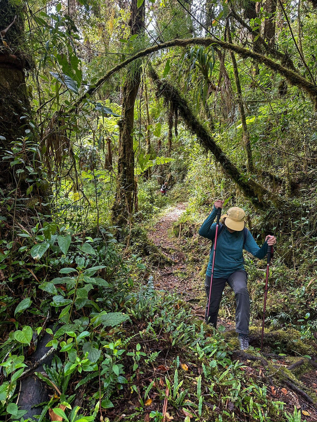 Why Hike the Camino de Costa Rica?