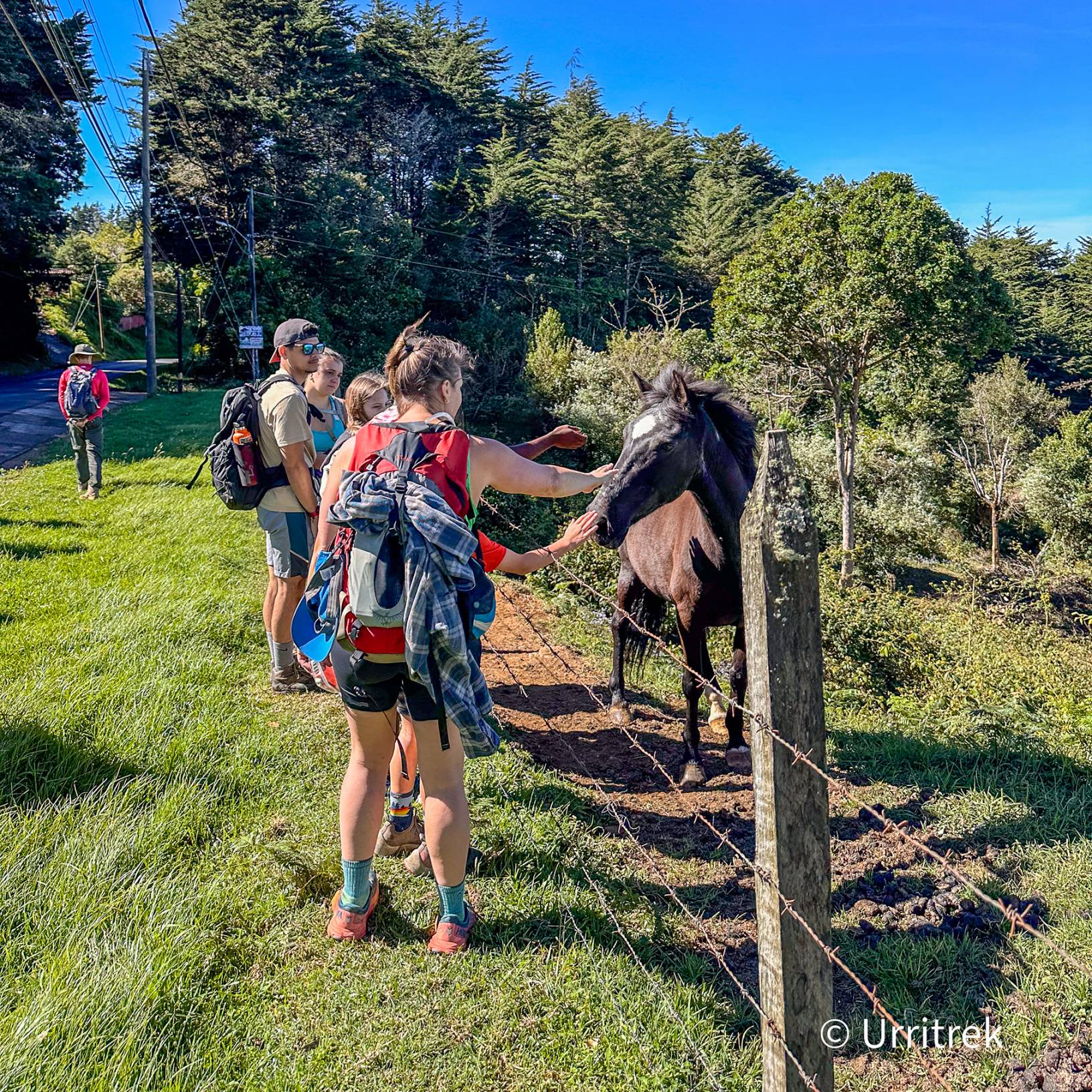 A person petting a horse over a wire fence.