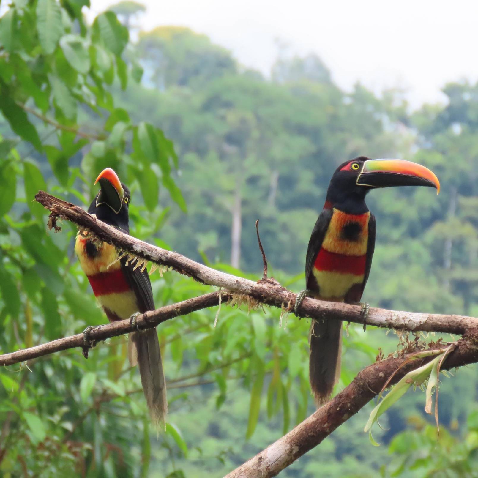 Etapa 16 de El Camino de Costa Rica