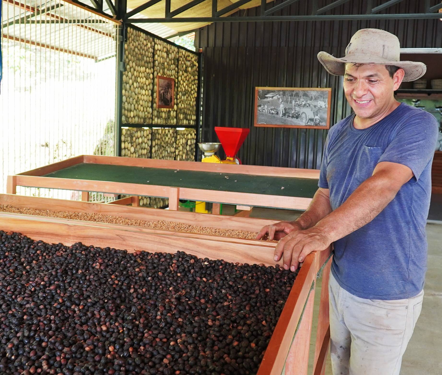 A man in a hat stands beside a large wooden box filled with coffee beans, showcasing a rustic coffee storage scene.