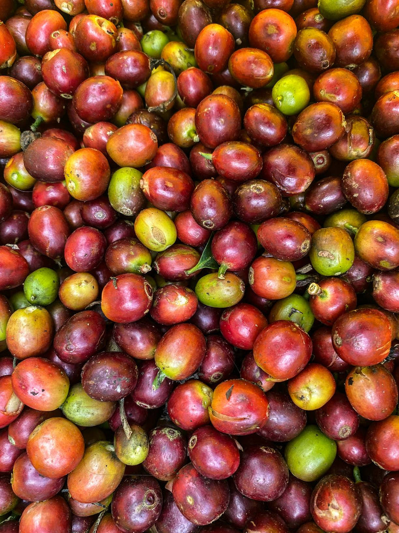  A close-up view of a pile of coffee beans displayed in a vibrant market setting, showcasing their rich color and texture.