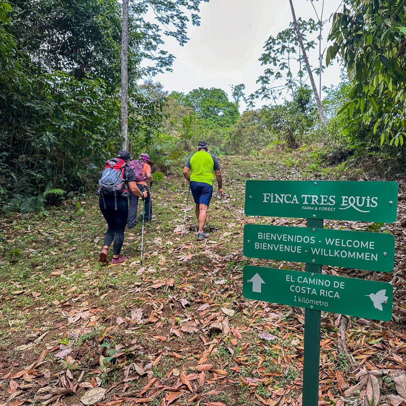 Stage 4 of El Camino de Costa Rica