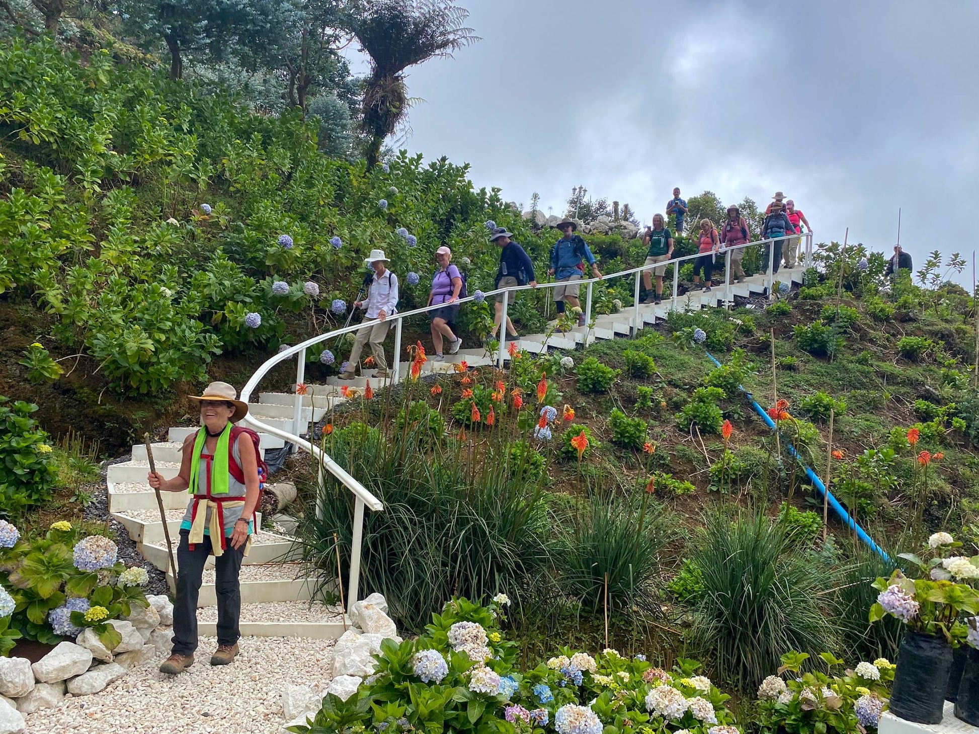 Individuals walking up a hillside staircase, surrounded by vibrant hydrangeas in full bloom.