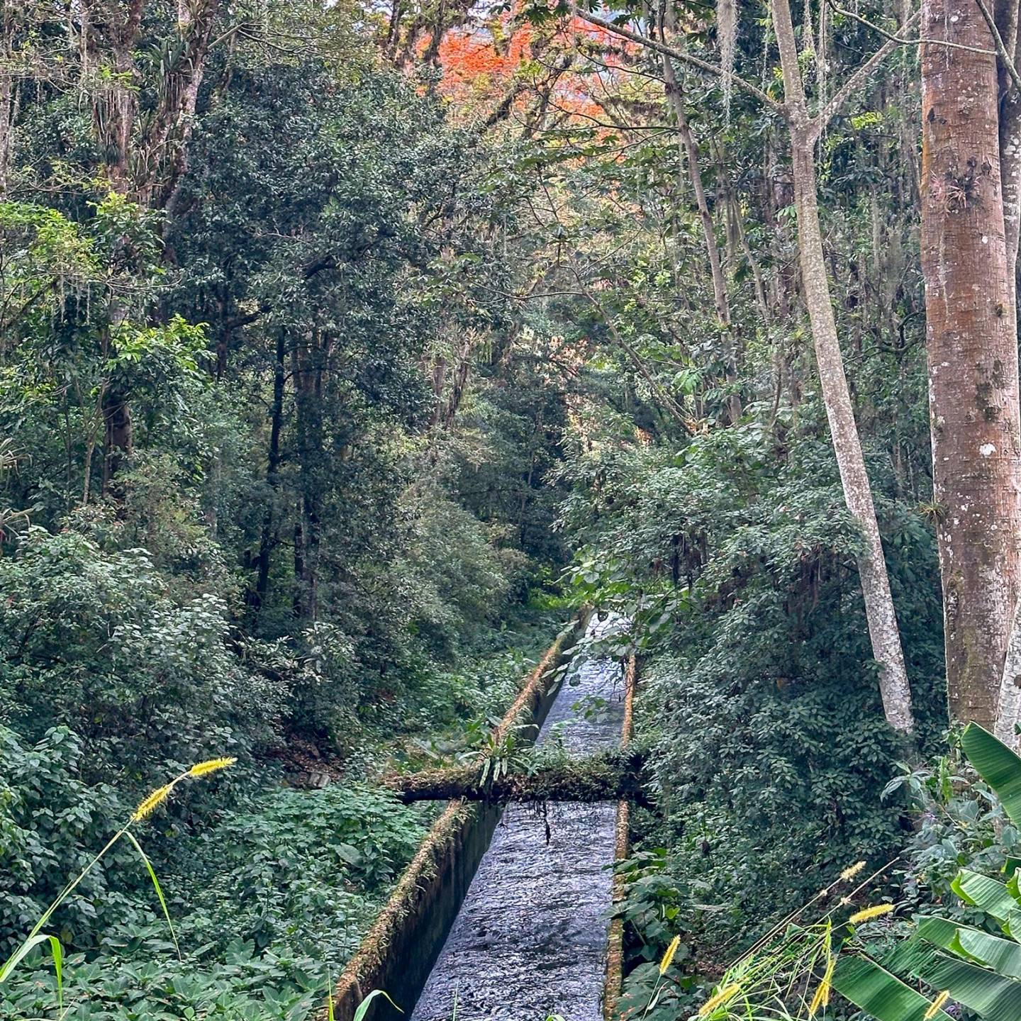 Stage 9 of El Camino de Costa Rica