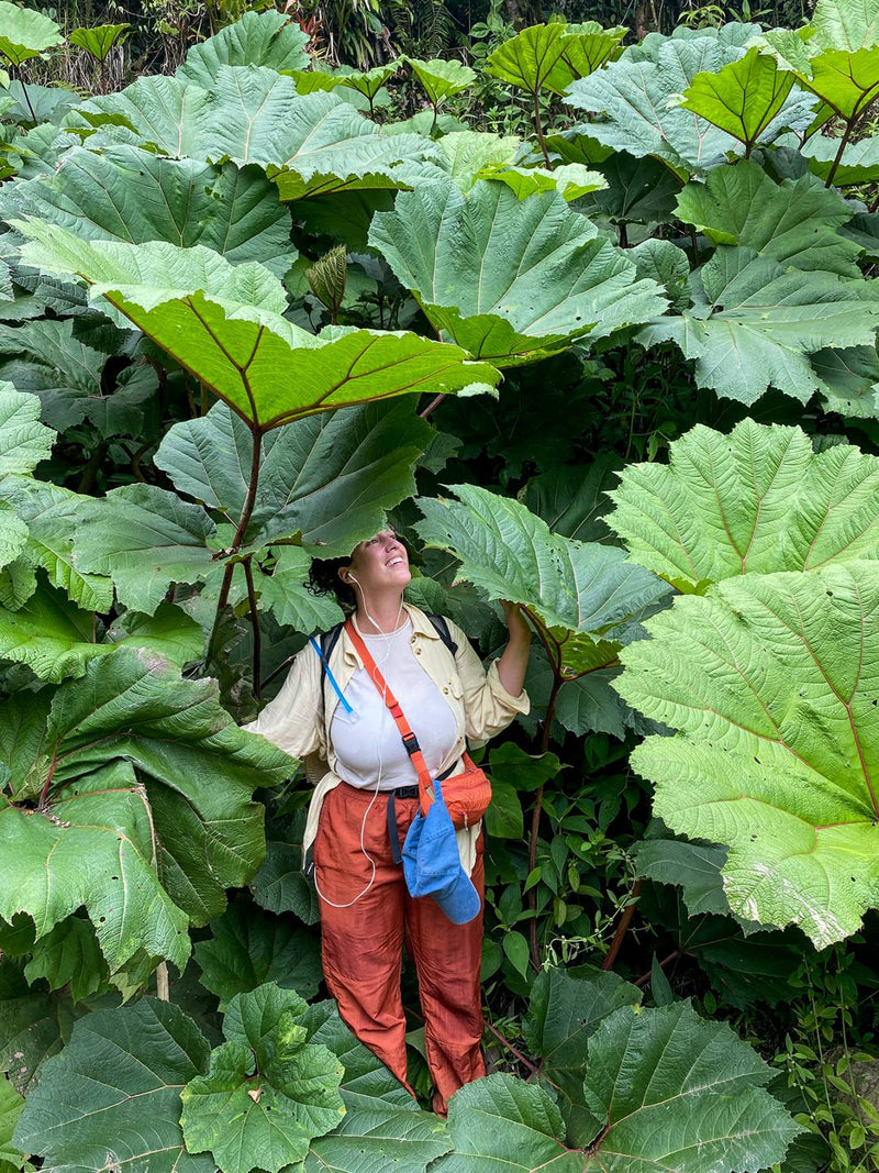 A woman stands amidst a lush arrangement of large-leaved plants, creating a vibrant and natural atmosphere around her.