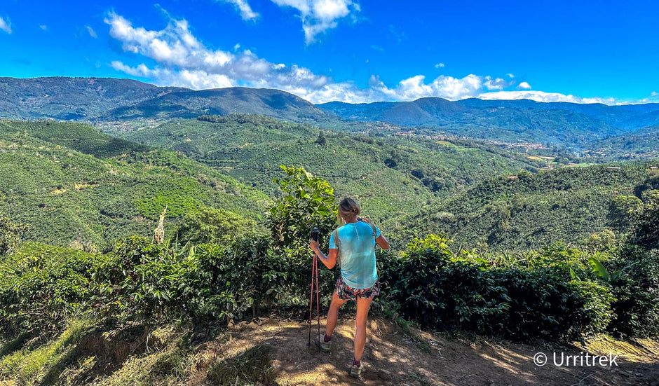 What Grows in Costa Rica? A Hiker’s Guide to Farming, Fruits & Sustain