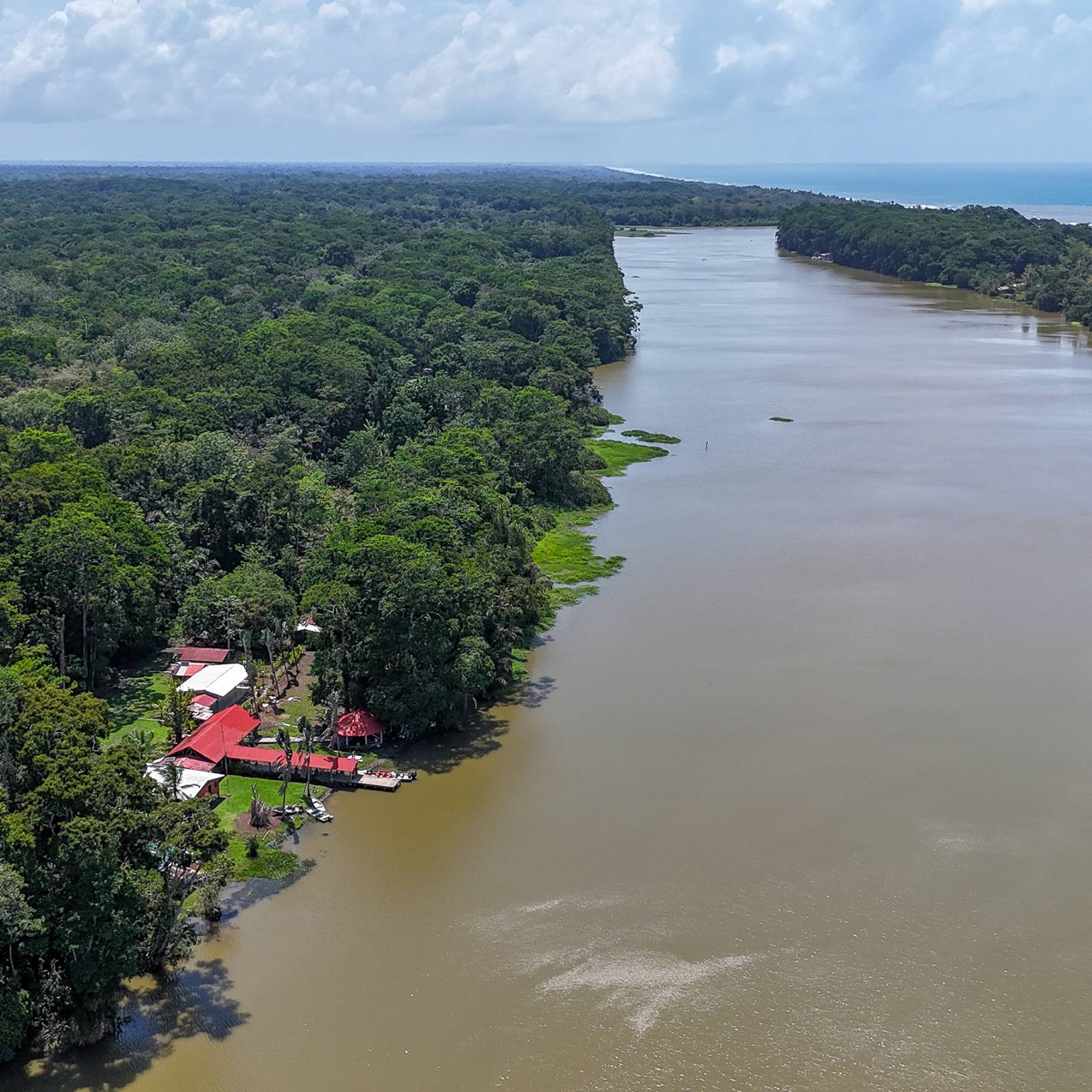 Aerial view showcasing a winding river surrounded by lush green forest, highlighting the beauty of nature from above.