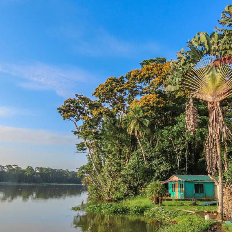 A small hut at the Madre de Dios Lagoon, lush greenery and tranquil waters.