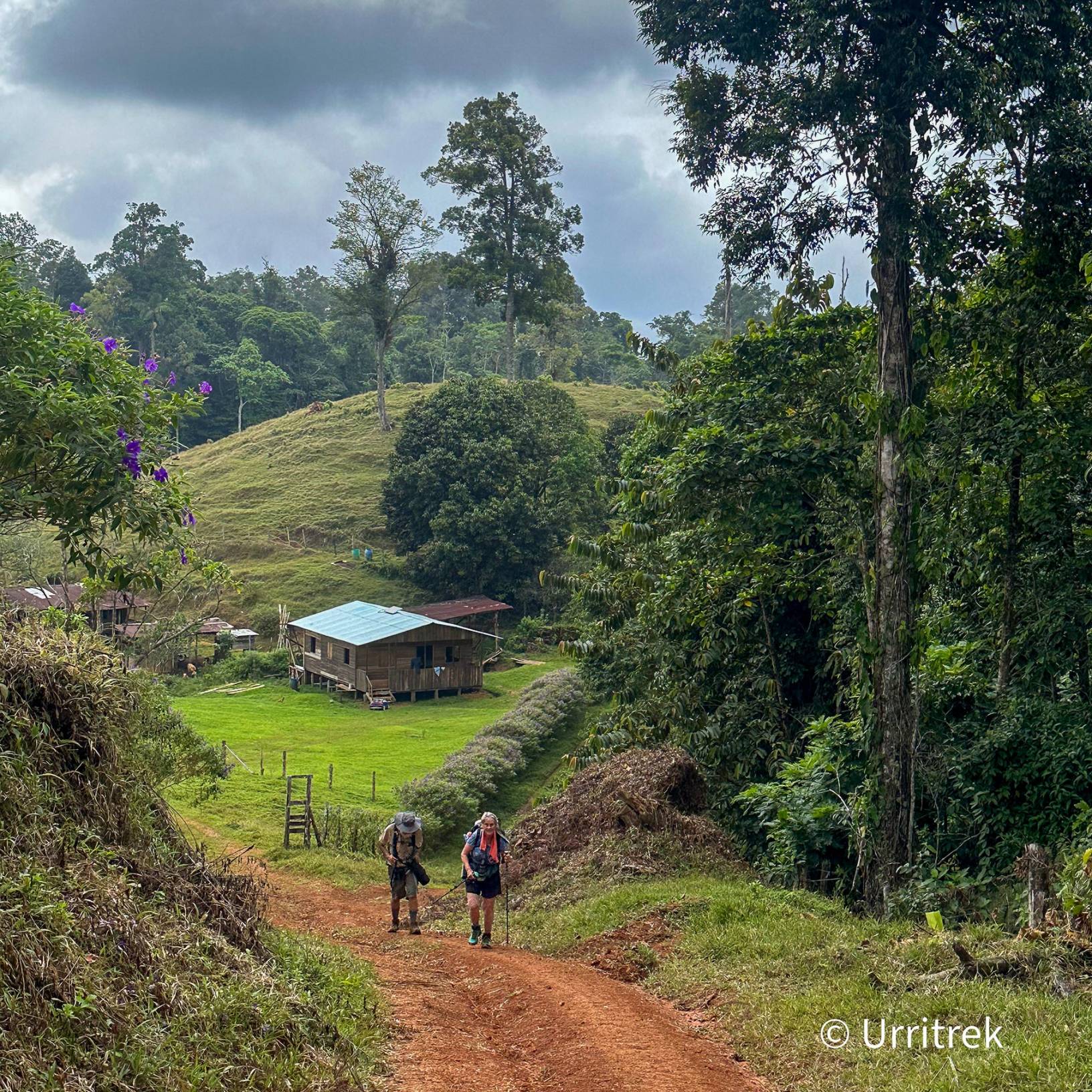 Two people hike along a dirt path through a vibrant forest, enjoying the peaceful nature around them.