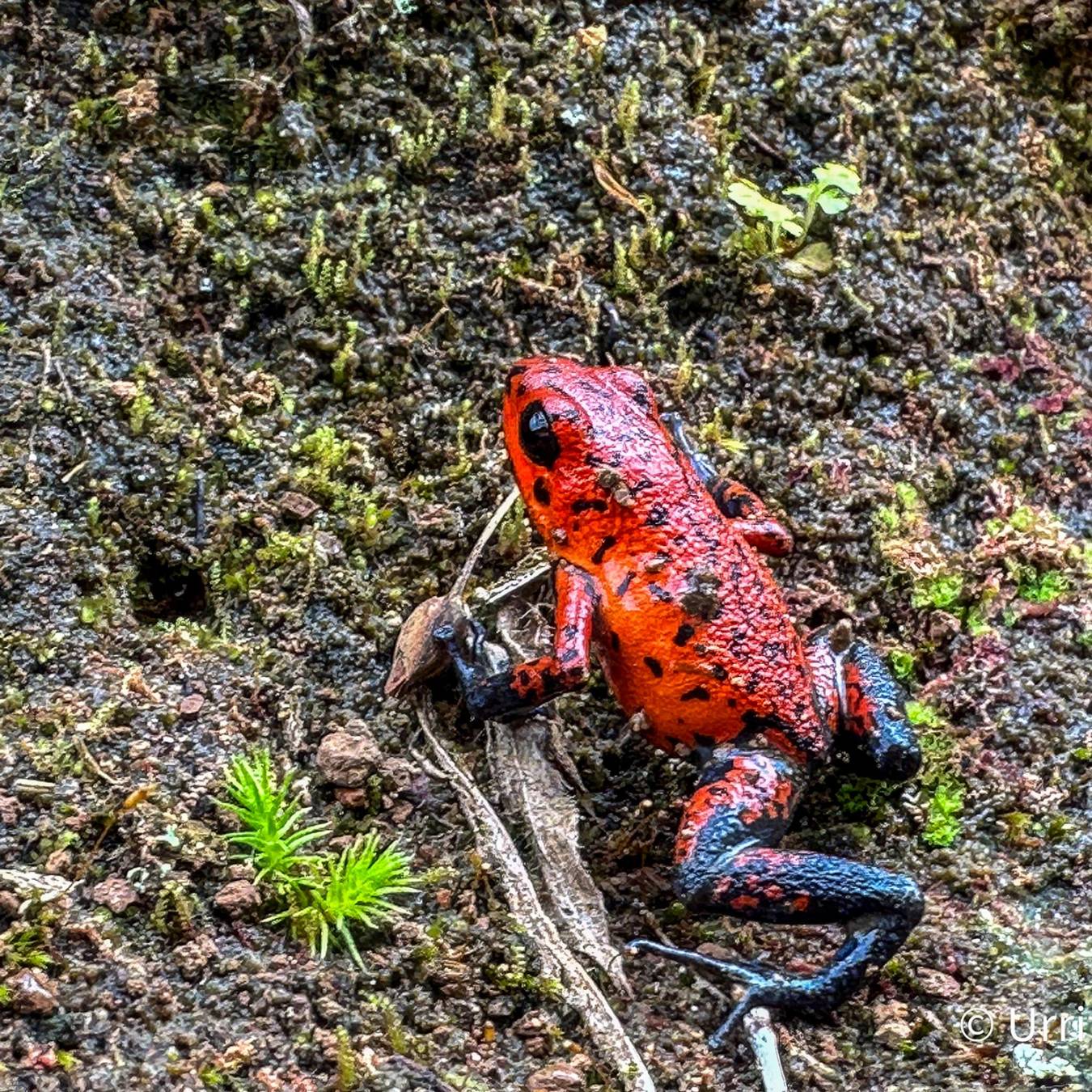 Etappe 2 des Camino de Costa Rica