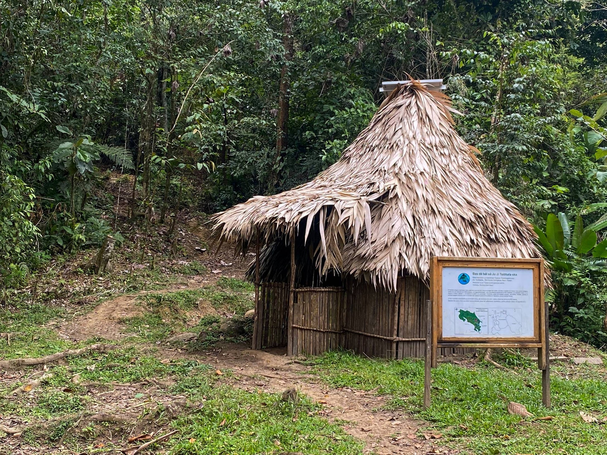 A traditional indigenous hut with a thatched roof nestled in the lush greenery of the jungle.